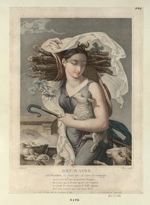 A francia republikánus naptár - Brumaire